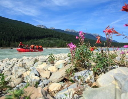family rafting trip kicking horse river golden bc