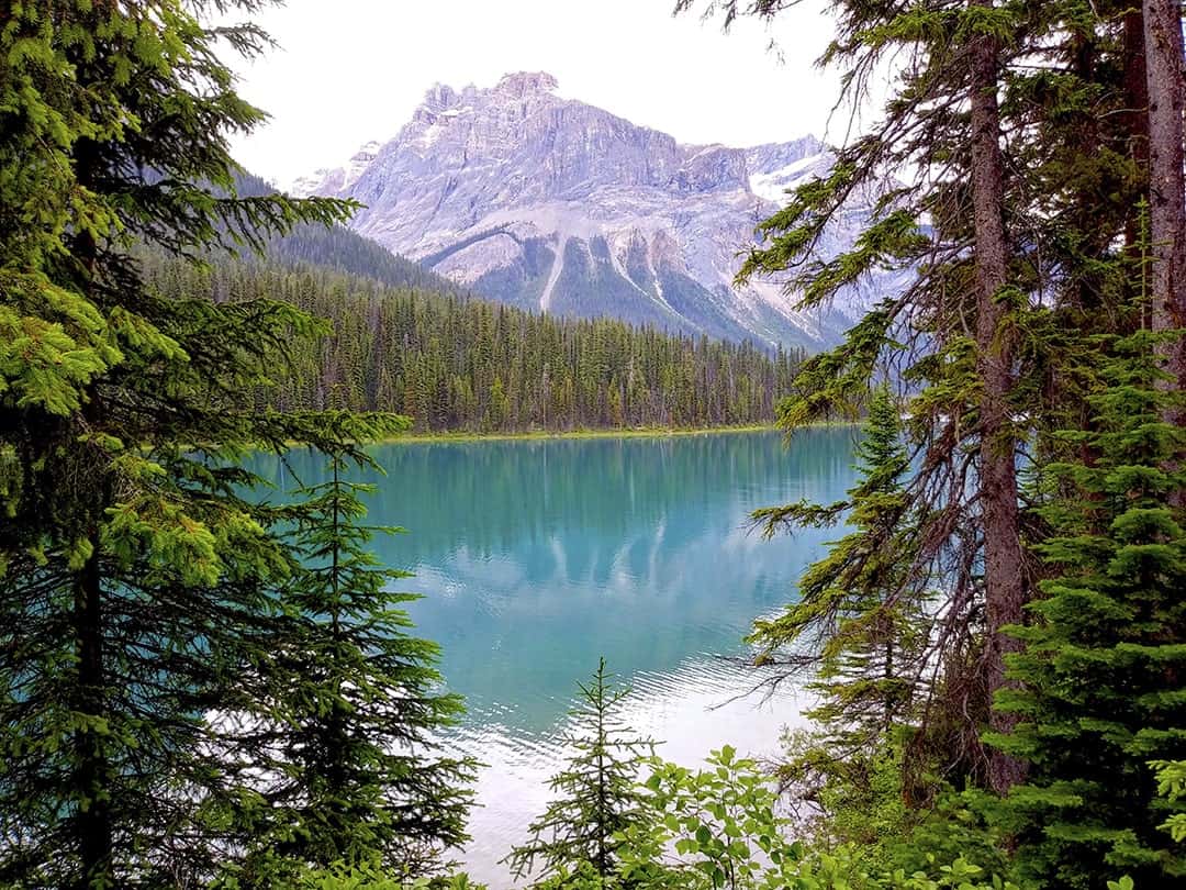 Hiking by Emerald Lake is one of the best activities in Golden BC for connection while being safe
